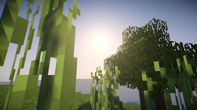 孔雀鱼的种类是如何划分等级的呢?